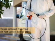 6 Things to Expect from Your First Pest Control Service Visit