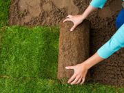 How to Find the Right Landscaping Service