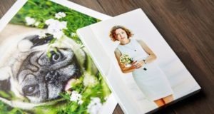 Printing your Photos on Canvas for Wall Art