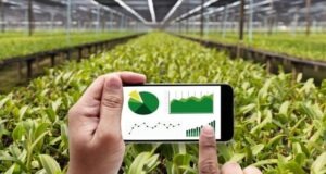 Top 7 Best Agricultural Business Ideas in India