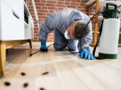 Controlling Pests in Commercial Spaces